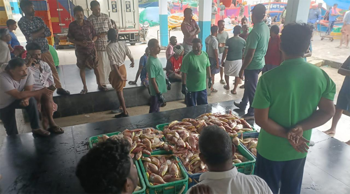 Operation/Aranakili/Fish/seized/