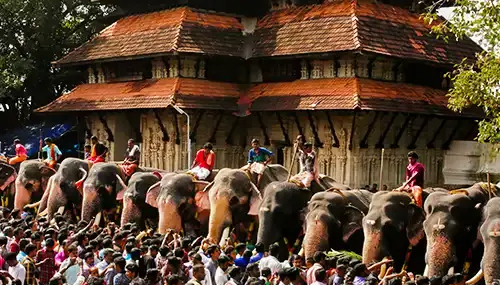 COMPLAINTS/AGAINST/PREPARATIONS/OF/ANAYOOTU/THRISSUR/