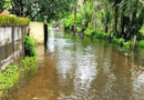 Chavakkad areas isolated by floodwaters/thrissur/