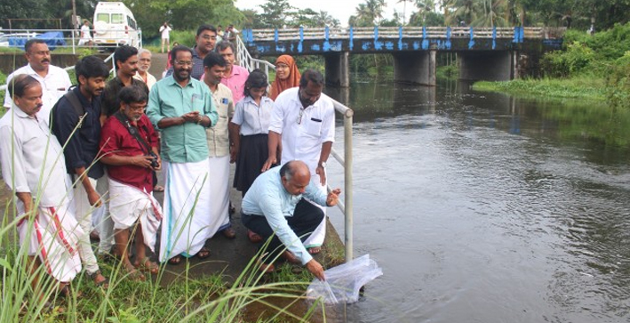 cufose/programme/fish/breeding/in/annamanada/a